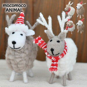 y111̓|Cgő10{ՁIzRRAj} ڂE}t[ k qcW giJC tFg    u v[g ~ G Mtg CeA NX}X 킢