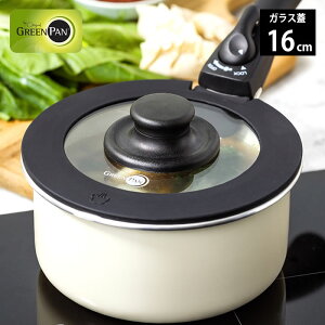 y125̓|Cgő10{ՁIztCp t^ O[p NbNVFt KXW 16cm O[p  O[p KXW KX ۑ W ӂ t^ GREEN PAN tCp