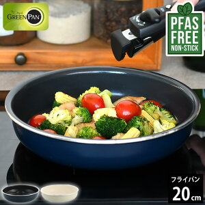 y121̓|Cgő10{ՁIztCp ih O[p NbNVFt tCp 20cm tCp 20cm tCp IH 肪 GREEN PAN H@ H@ pfas PFAS t[tCp 