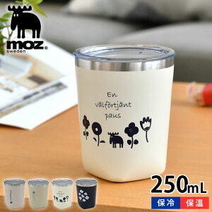 XeX^u[ MOZ T[^u[ 250ml ۉۗ t^t fMd\ 􂢂₷ ItBX R[q[ ^u[ }OJbv  Y XeX Jbv Vv L