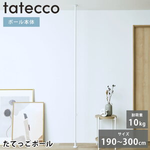 ˂_ c tatecco ^ebR Ă|[ { ˂_ 3m TCR-21WH }bgzCg cς_ q  rO X hZ[  ȃXy[X LbYnK[ V