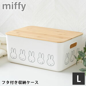 y111̓|Cgő10{ՁIz[P[X ߗ ~btB[ ou[ӂt [P[X LTCY [{bNX ӂt   ߑP[X ςݏd Еt Ȃ  