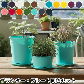 プランター おしゃれ PLANTS GROWING POTS 3サイズ同色セット 植木鉢 プラスチック カラフル 通気性 水受け 日本製 受皿 国産樹脂 屋内 屋外 鉢 花 プランター 室内 軽量 ポット 新生活 鉢カバー 鉢植え