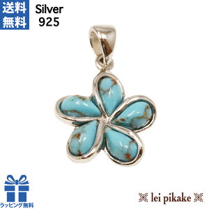 nCAWG[ Vo[925 y_gwbh lbNX ^[RCY vAy_gwbh v[g bsO fB[X  bsO