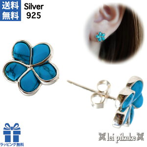 nCAWG[ sAX ^[RCY vAsAX Vo[925 v[g bsO fB[X  vA 