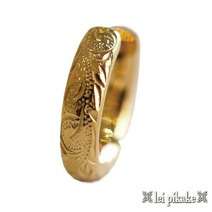 nCAWG[ T[WJXeX sAX t[vsAX Ў XeX T[WJXeX316L ubN sN XeB[ CG[ R[eBO t[v vA fB