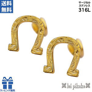 nCAWG[ T[WJXeX sAX XeXz[XV[sAX  Y fB[X CG[R[eBO XN[ n v[g Mtg ay 킢