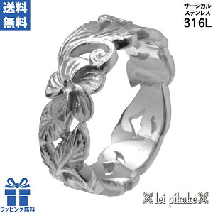 nCAWG[ T[WJXeX O XeX Y fB[X steelJ[  XN[ JbgAEgO vA w JP7 ` JP17 v[g Mtg a 