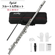 【SALE！】【楽天1位】フルート セット Cキー ケース付き オフセット リッププレート 入門者向け 初心者 …
