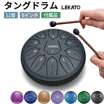 楽天市場】ヒーリング 楽器（楽器・音響機器）の通販