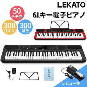 1NۏLEKATO dqsAm 61 Zbg L[{[h 61L[ sAmՌ 3.5mm }CN Cz AUX ^ K ʑ S l q y y ^ y t y p K[h AC