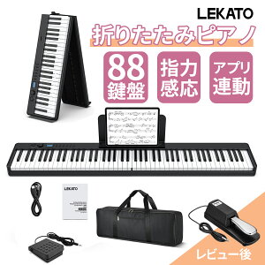 y12%OFFN[|+10%PTҌzyVizLEKATO dqsAm 88 Zbg ܂肽 L[{[h [d 88L[ ܂肽ݎsAm w͊ X[u LEDfBXvC }CN CzΉ AUX 