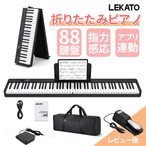 yP5{11/20-11/27zyVizLEKATO dqsAm 88 Zbg ܂肽 L[{[h [d 88L[ ܂肽ݎsAm w͊ X[u LEDfBXvC }CN CzΉ AUX ^ 