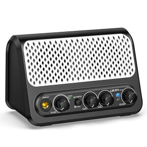 �~�j �M�^�[�A���v �G���L�M�^�[ �A���v �X�s�[�J�[ ���C�����X �x�[�X Bluetooth 5.0 AUX���� 10W �w�b�h�z���W���b�N �u���[�g�D�[�X ���� Type-C �[�d�� mini ���^ ���� ���C�u ���K�p �X�}�z �� �y