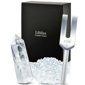 �_�}���\������P10�{�^ �y�y�V5���B��!!�z �yPoco'ce�f��×CREA�f�ځz �N���X�^���`���[�i�[ ���� 4096hz ���������� 5�_�Z�b�g ���� �p���[�X�g�[�� �������� Libliss ���u���X