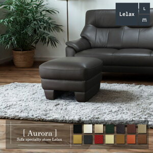 Ibg} Xc[ {v 1l|\t@ `FA u RpNg Vv _ rO _CjO EW Aurora AE[ 51cm {v1mm v܂͔v