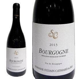 2013 ブルゴーニュ ルージュ シルヴァン カティアール 赤ワイン 辛口 750ml Domaine Sylvain Cathiard Bourgogne Rouge