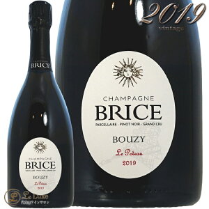 2019 �u���� �h �m���[�� �u�W�[ �p���Z�� �� �|�g�[ �u���X ���K�i �V�����p�� �� �h�� 750ml Brice Blanc de Noirs Bouzy Parcelle Le Poteau
