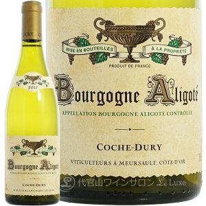 2017 �u���S�[�j�� �A���S�e �R�V�� �f���� �����C�� 750ml Coche Dury Bourgogne Aligote