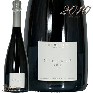 2010 �X�e�m�y �~���W�� �V�����p�[�j�� �h�D���H�[ �V�����p�� �h�� �� 750ml Champagne Devaux & M.Chapoutier Stenope Millesime