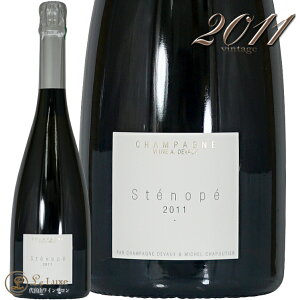 2011 �X�e�m�y �~���W�� �V�����p�[�j�� �h�D���H�[ �V�����p�� �h�� �� 750ml Champagne Devaux & M.Chapoutier Stenope Millesime