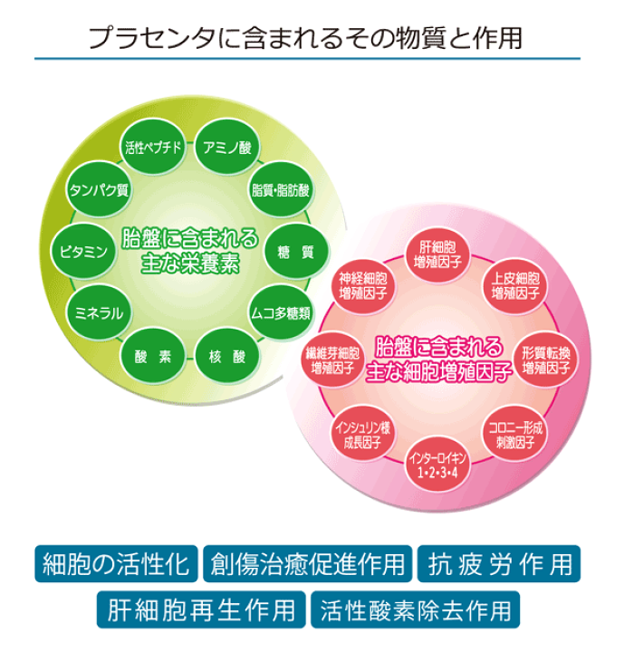 Amazon | コルディプラス プラセンタ12000（国産SPF豚プラセンタ