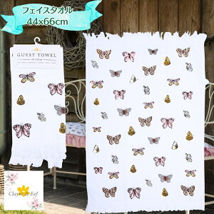 sAG݂̃~EXgAt tFCX^I upsv40X66 CM zCg sN Rbg ` QXg^I I_ Clayre & Eef NA&C[t ̓