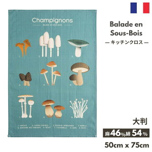 stXG/AG݁t tXG݁uBalade en Sous Bois (X̃LmR)vLb`NX COUCKE N[P gV ȍNX VsjI eB[^I ӂ  l Rb