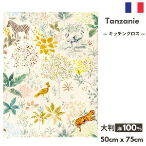 stXG/AG݁t tXG Lb`NX COUCKEuTanzanie ^UjAv 100% N[P eB[^I gV l WO ܂  傫 Ǌ| ^yXg[ 