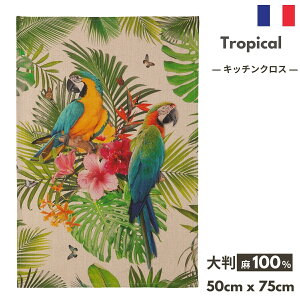 stXG/AG݁t tXG Lb`NX COUCKEuTropical gsJv 100% N[P eB[^I gV l IE   傫 Ǌ| ^yXg[ 킢 k