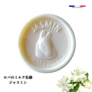 yWX~zo~NΌ tX hL[~NΌ WX~ I[KjbN õ~NΌ 100g GXvEv@X 앧v@X VAo^[ XC[gA[