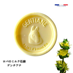 yQ`Aizo~NΌ tX hL[~NΌ hE I[KjbN õ~NΌ 100g GXvEv@X 앧v@X VAo^[ XC[gA[