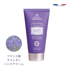 VRx_[ I[KjbN nhN[ tX tXY   nhN[ VAo^[ GXvEv@X 앧v@XY VRf XC[gA[hI