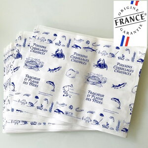 stXG/AG݁t tXG ̑ Ɩp|VFbg tX ̋Ɩp LTCY S|[` 20 tX 25cmx33cm W GRobO  p 