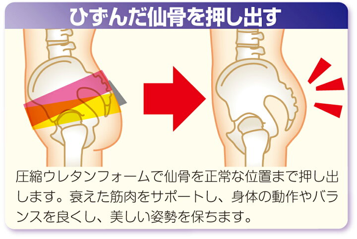 楽天市場】2段式 仙骨盤サポーター LLー3Lサイズ（ヒップ97～110cm 