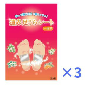 ԑV[ǧ^@3܁i30×3j@V[g@tV[g@{@@r@tbgPA@ނ݃PA@@߂