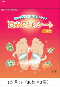 ԑV[ǧ^@2܁i30×2j@V[g@tV[g@{@@r@tbgPA@ނ݃PA@@߂