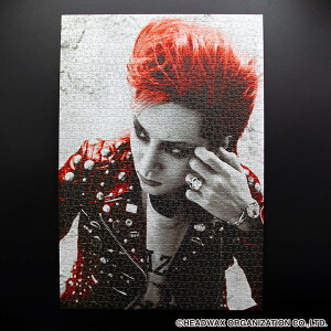 hide WO\[pY RED ver.