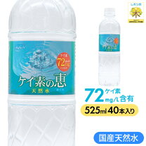 楽天市場】ケイ素の恵み 500mlの通販