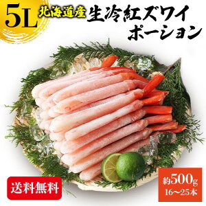 g킢ɋrނg 5L 500g kCY Y |[V gYC hg Ⓚ I Jj  CN Ε Mtg shr-040