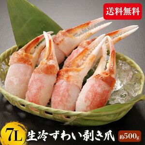 Jj܃|[V 7L 500g YCKj 킢I YCI Jj  I ɂ ނ Jj Jj Ε Mtg @shr-041