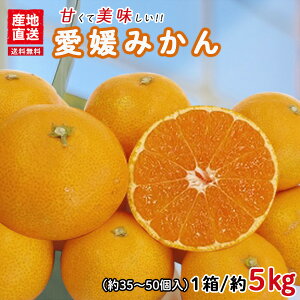 ݂ Q݂ 5kg  B݂ ~J  ʕ Â  Yn QY YDF-000