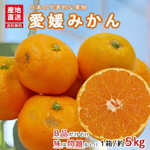 ݂ Q݂ 󂠂  5kg Bi B݂ ~J   Â  Yn QY YDF-001