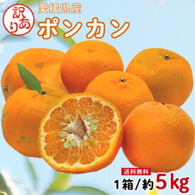 ポンカン ぽんかん 訳あり 5kg 送料無料 ご家庭用 箱買い サイズミックス みかん 蜜柑 産地直送 愛媛県産 YDF-003