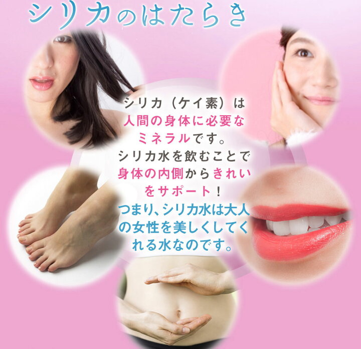 海外輸入 シリカ水 525ml 40本 高濃度シリカ水 Regina レジーナ シリカ72㎎ L glm.co.il 海外輸入 シリカ水 525ml 40本 高濃度シリカ水 Regina レジーナ シリカ72㎎ L glm.co.il