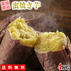 Ă g͂邩 4kg  ܂ Tc}C ׂɂ͂邩 ⓀĂ Yn Y ܈ F Ă ΏĂ   C Y FJK-005