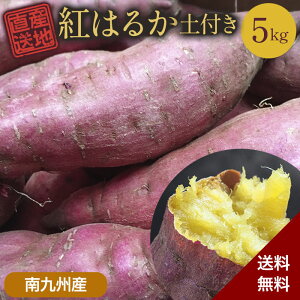 紅はるか べにはるか さつまいも 5kg 送料無料 産地直送 産直 土付き さつま芋 薩摩芋 焼きいも 焼き芋 石焼き芋 芋 いも イモ 南九州産 FJK-000