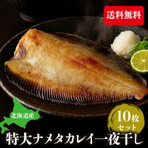 kCY  JC銱 JC i^JC銱 10Zbg 銱  ܂ CN Ε Mtg shr-046