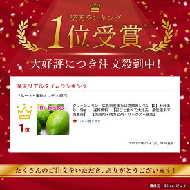 シーズン最終出荷　すぐ出荷　※お届け日指定無しでお願いします【産地は瀬戸内海国立公園内】広島県産レモン【B】わけあり　5kg　キズあり　送料無料　【皮ごと食べて大丈夫　最低限まで減農薬】　【防腐剤・防カビ剤・ワックス不使用】