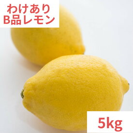 【ポイント10倍】【あす楽】広島県産レモン【B】わけあり　5kg　キズあり　送料無料　皮ごと食べて大丈夫　最低限まで減農薬　防腐剤・防カビ剤・ワックス不使用　柑橘栽培に適した瀬戸内海　瀬戸内産　　広島県尾道市瀬戸田町産、呉市豊浜町産